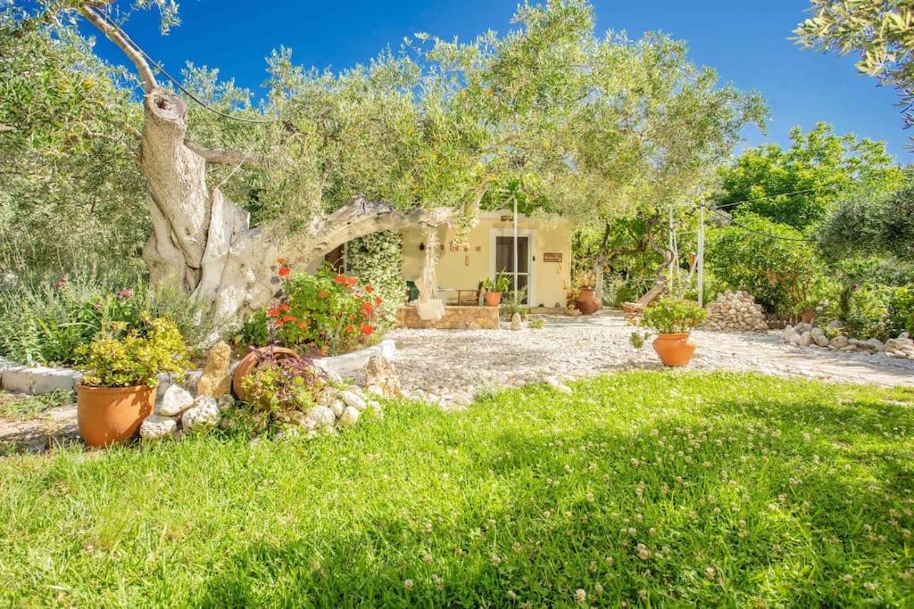 Anthia Private Studio A Breath Away From Beaches Áyios Nikítas المظهر الخارجي الصورة